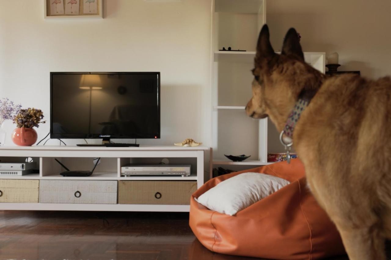 Apartment Turistico 